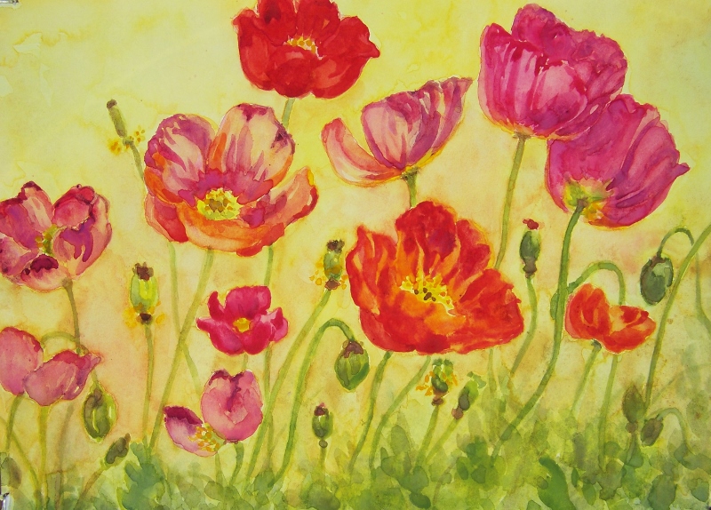 Poppies will make you sleepy...